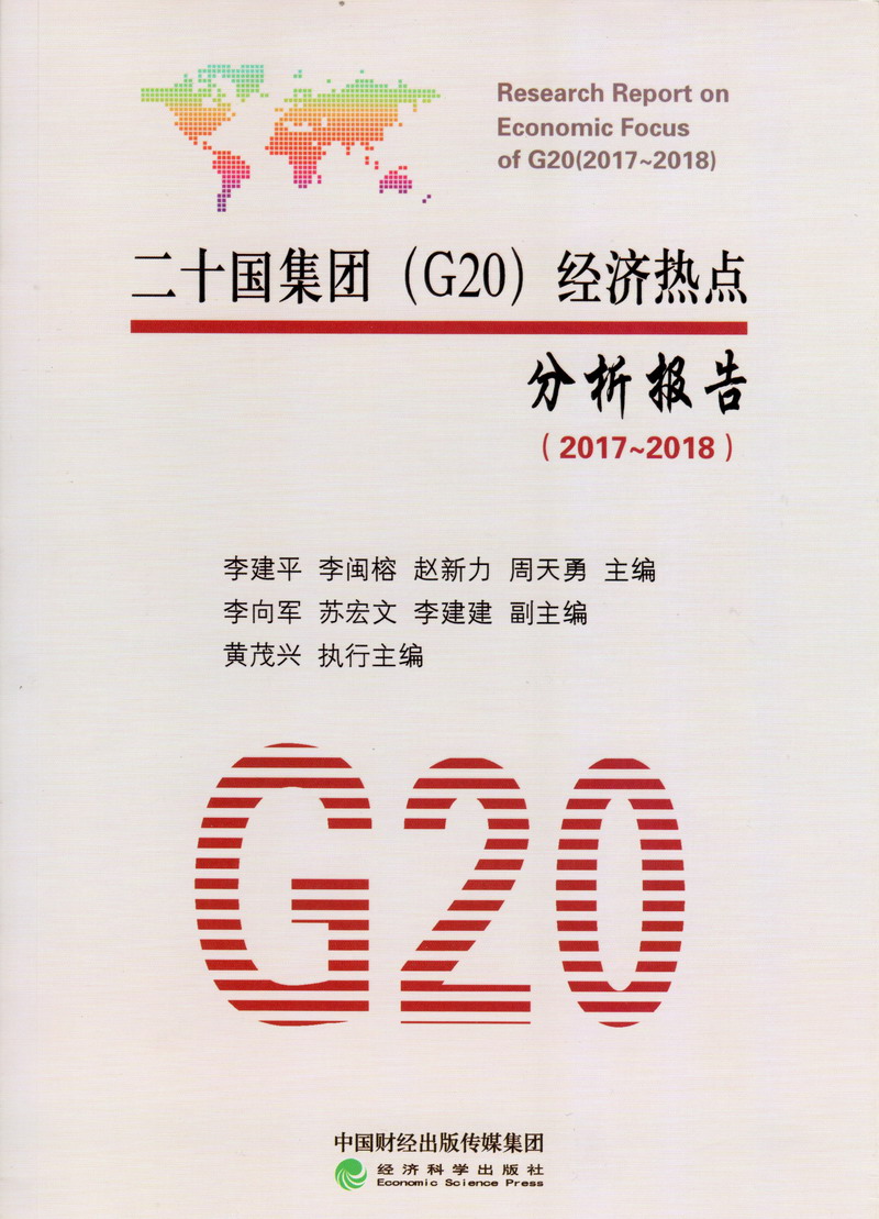 男的j女的捅p二十国集团（G20）经济热点分析报告（2017-2018）