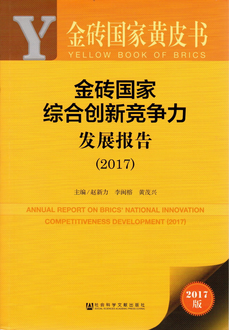 插入啊啊啊啊嗯哼嗯哼视频金砖国家综合创新竞争力发展报告（2017）